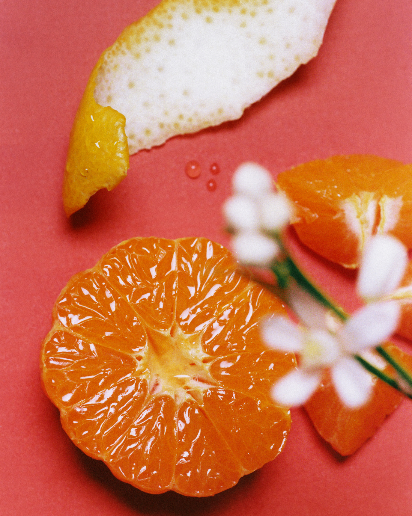 Daily Perfecting Lotion